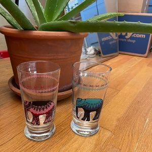 Elephant Glasses